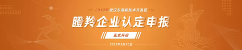 瞪羚企业.png